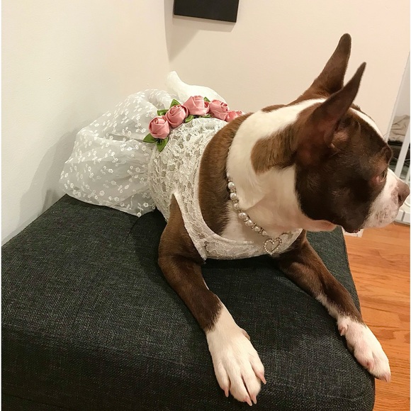 SHARE SHOW ❤️ Like to Get Notified 🔥✨ - Picture 7 of 8